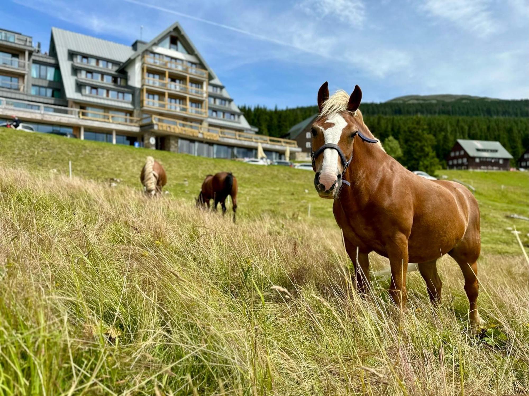 Erlebachova Bouda, Hotel - Resort Svaty Frantisek Spindleruv Mlyn Exterior foto